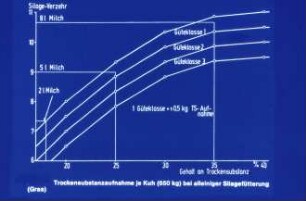 Trockensubstanzaufnahme je Kuh (650 Kg) bei alleiniger Silagefütterung (Gras)
