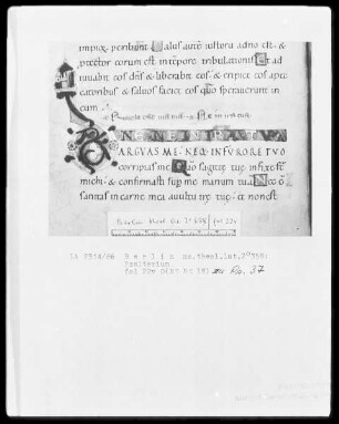 Psalter aus Werden — Initiale D, Folio 22verso