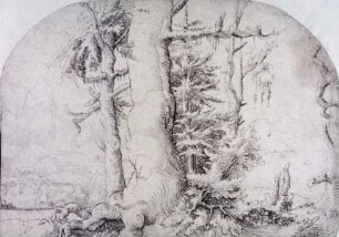 Landschaft mit Eiche