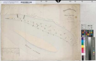 Domanialgrundstücke in der Bürgermeisterei Ringenberg. 2. Bl. [Gem. Bislicher Niedrigung; mit Wellinsel o. Hollandsward, Sandwell]. Auszug aus der Katasterkarte