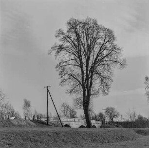 Niedergurig (Berg) : Brücke bei Niedergurig