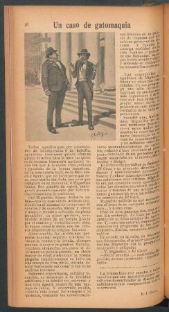 Un caso de gatomaquia
