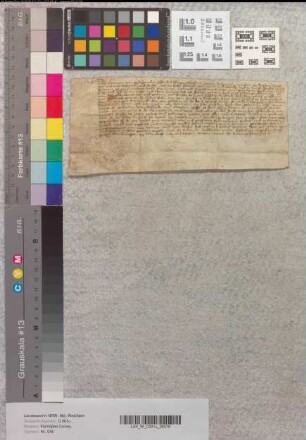 Lehnbrief Abt Hermanns von Corvey für Tönnis Druchtleben (Druchtleves) mit Gütern zu Höxter, Boffzen (Bofzen), welche früher die Oldenborg gehabt haben, Albaxen u.a.