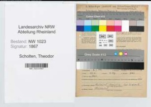 Entnazifizierung Theodor Scholten , geb. 06.01.1895 (Landwirt)