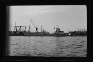 Bussard (1961), Frachtschiff, VEB Deutsche Seereederei, Rostock, Bau-Nr. 21