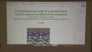 Exploring Dynamically Branching Structures by Agent-Based Modeling