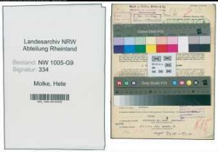 Entnazifizierung Hete Molke , geb. 26.09.1899 (Baukaufmann)