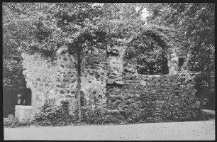 Grimma. Klosterruine Nimbschen