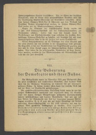 VII. Die Bedeutung der Demokratie und ihrer Fahne