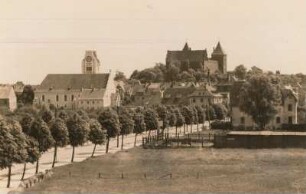 Neidenburg : Neidenburg, Stadtansicht mit Ordensburg