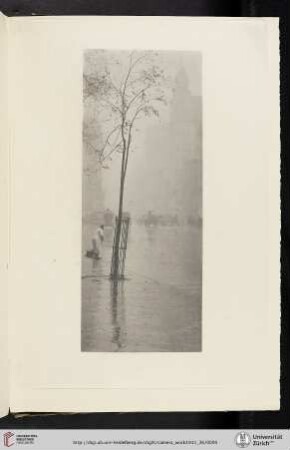 [Alfred Stieglitz, XVI. Spring Showers, New York (1900), photogravure from the original negative]