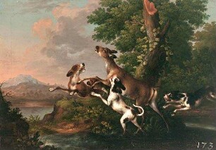 Hunde hetzen eine Hirschkuh