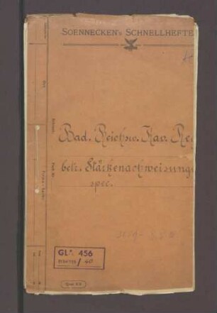 Badisches Reichswehr-Kavallerie-Regiments 113