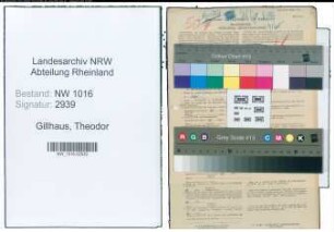 Entnazifizierung Theodor Gillhaus , geb. 06.07.1910 (Kraftfahrer)