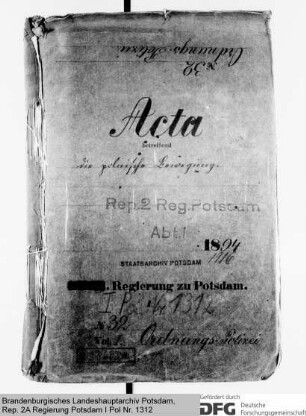 Die polnische Bewegung. Allgemeines