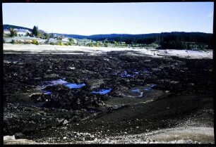 Schluchsee: der leere Schluchsee, Schlammbecken mit Torfablagerungen