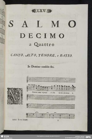 Salmo decimo