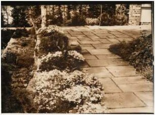 Garten Seydel, Berlin-Wannsee: Pflanzungen am Plattenweg, Terrasse