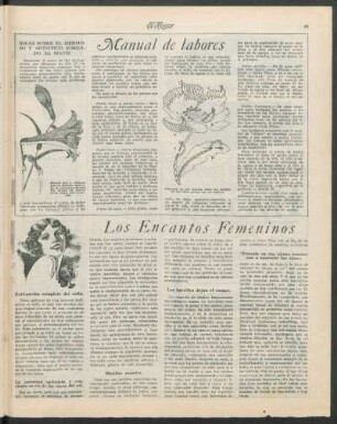 Manual de labores