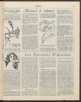 Manual de labores
