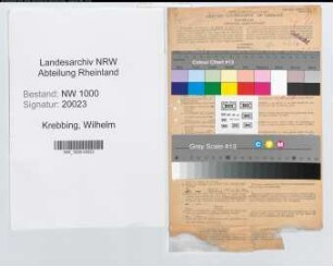 Entnazifizierung Wilhelm Krebbing, geb. 17.04.1896 (Kaufm.Angest.)