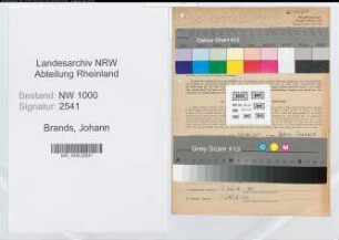 Entnazifizierung Johann Brands, geb. 01.01.1897 (Schreiner)