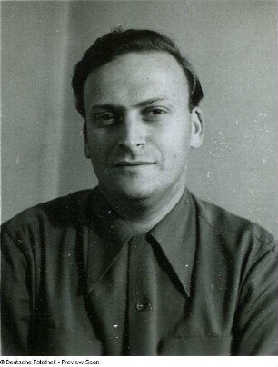 Portraitserie Yehudi Menuhin