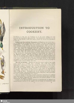 Introduction to cookery