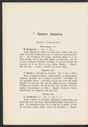 V. Spanner. Geometrae.