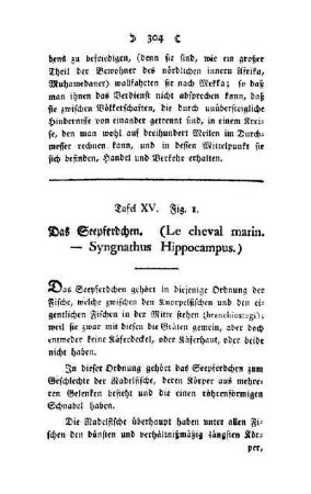 ¬Das¬ Seepferdchen : (Le cheval marin - Syngnathus Hippocampus) ; Tafel XV, Fig. 1