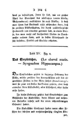 ¬Das¬ Seepferdchen : (Le cheval marin - Syngnathus Hippocampus) ; Tafel XV, Fig. 1