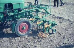 Fotografie: Pflegegerät, Hackmaschine, Zuckerrübe, Frontanbau, Bandspritzung