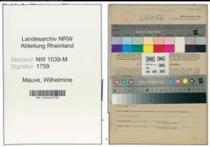 Entnazifizierung Wilhelmine Mauve , geb. 12.12.1886 (Lehrerin)