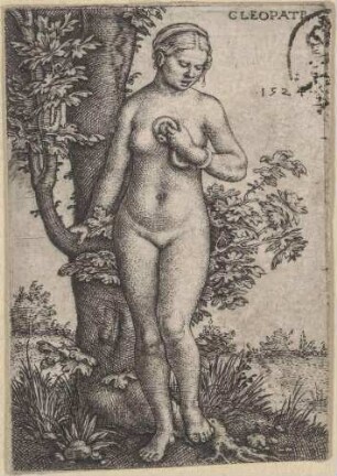 Cleopatra