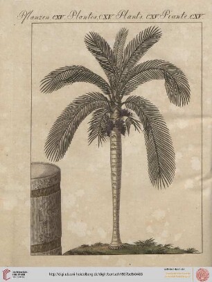 B.VI. No. 81 - B.VI. No. 90