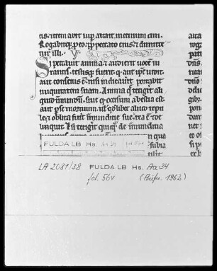 Biblia latina, pars 1 — Ein Löwe, Folio 56verso