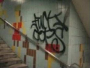 FUCK COPS*