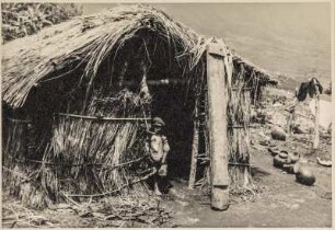 Hütte (Lateinamerika-Aufenthalte 1928/1942)
