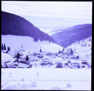 Muggenbrunn: Blick von der Höhe auf Muggenbrunn