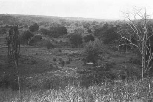 Matapwa : Blick auf eine Savannenlandschaft vom Dorf Matapwa aus
