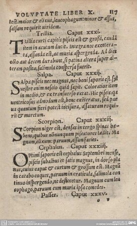 Scorpion. Caput XXXIII.