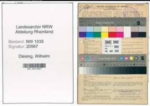 Entnazifizierung Wilhelm Diesing , geb. 16.01.1904 (Steiger)