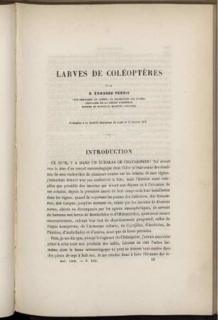 Larves De Coléoptères