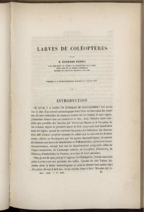 Larves De Coléoptères