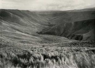 Tal im Tuffplateau des Cotopaxi-Südflusses
