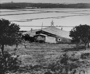 Archivfotografie "ausland_spanien_ibiza_landschaft_21448ae"