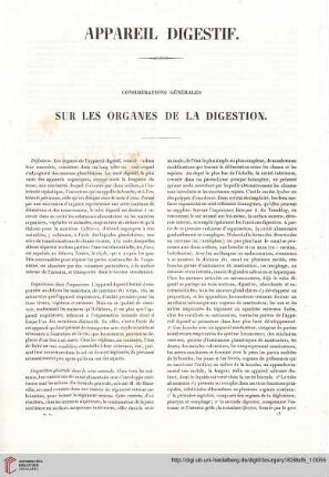 Appareil digestif