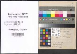 Entnazifizierung Michael Steingass , geb. 01.01.1904 (Kaufmaennischer Angestellter)