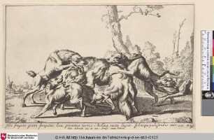 [Wolfsjagd; Wolf hunt]