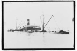 Hersilia (1901), Dampfschiffs-Rhederei Horn, Lübeck